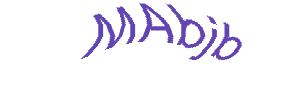 عبارت امنیتی