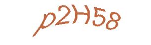 عبارت امنیتی