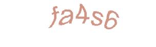 عبارت امنیتی