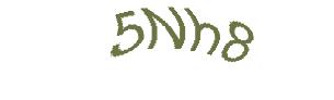 عبارت امنیتی