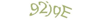 عبارت امنیتی