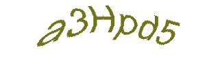 عبارت امنیتی