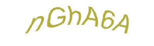 عبارت امنیتی