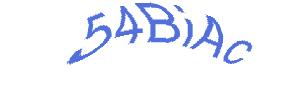 عبارت امنیتی
