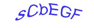 عبارت امنیتی