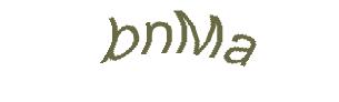 عبارت امنیتی