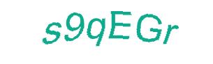 عبارت امنیتی
