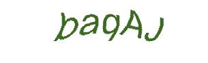 عبارت امنیتی
