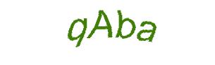 عبارت امنیتی
