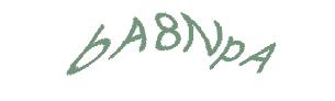 عبارت امنیتی