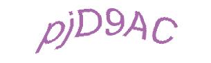 عبارت امنیتی