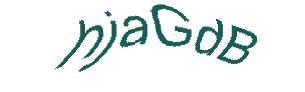 عبارت امنیتی