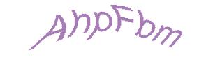 عبارت امنیتی