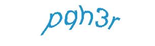 عبارت امنیتی