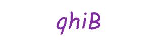 عبارت امنیتی