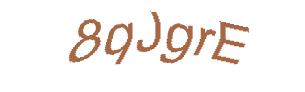 عبارت امنیتی