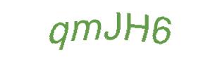 عبارت امنیتی