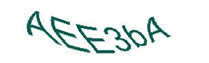 عبارت امنیتی