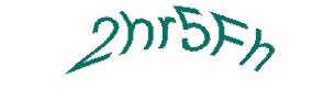 عبارت امنیتی