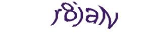 عبارت امنیتی