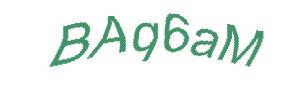 عبارت امنیتی