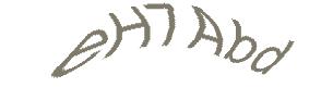 عبارت امنیتی