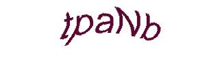 عبارت امنیتی