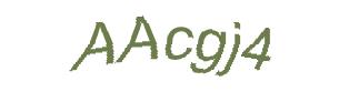 عبارت امنیتی
