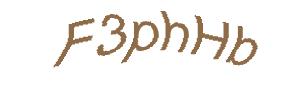 عبارت امنیتی