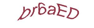 عبارت امنیتی