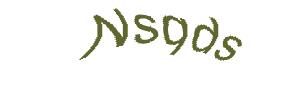 عبارت امنیتی