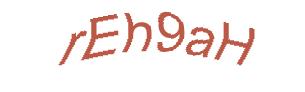 عبارت امنیتی