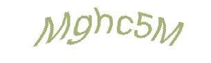 عبارت امنیتی
