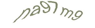 عبارت امنیتی