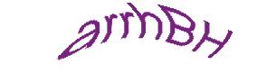 عبارت امنیتی