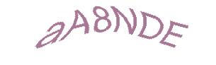 عبارت امنیتی