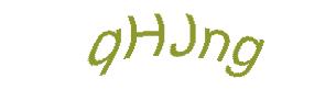 عبارت امنیتی