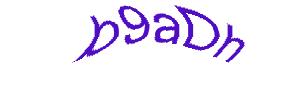 عبارت امنیتی