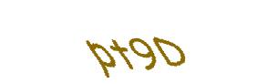 عبارت امنیتی