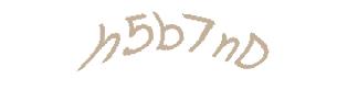 عبارت امنیتی