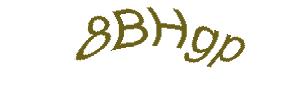 عبارت امنیتی
