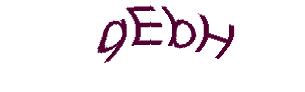 عبارت امنیتی