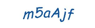عبارت امنیتی