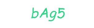 عبارت امنیتی
