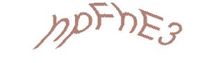 عبارت امنیتی