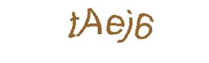 عبارت امنیتی