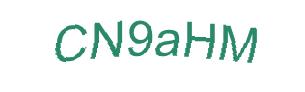 عبارت امنیتی