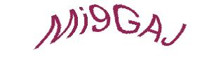 عبارت امنیتی