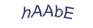 عبارت امنیتی