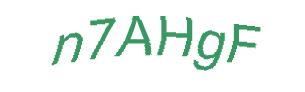 عبارت امنیتی